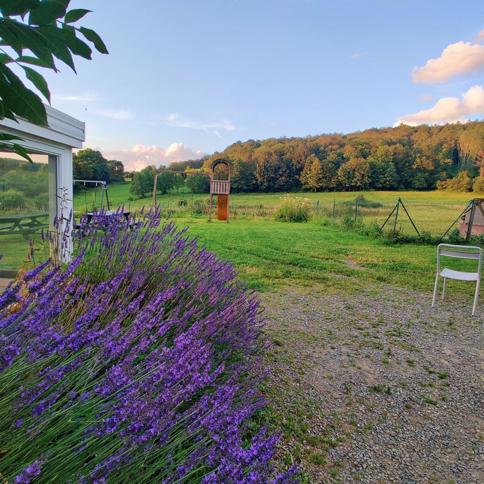 Vila La Ferme De Werpin Hotton Exteriér fotografie